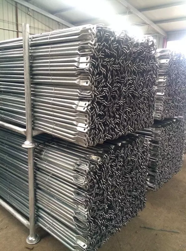 SCAFFOLDING
