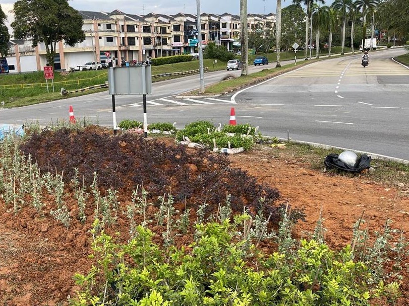 Landscape upgrade