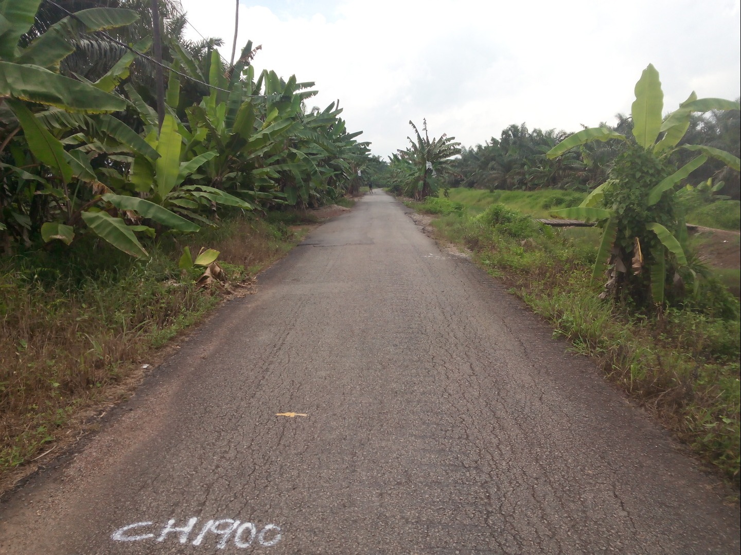 Perbahurui Muka Jalan- Pt Setan