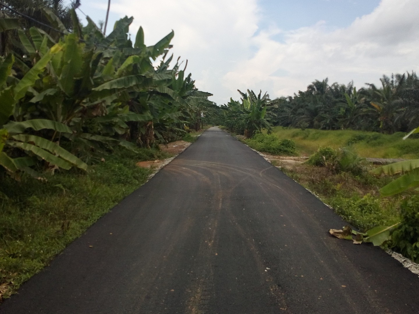 Perbahurui Muka Jalan- Pt Setan