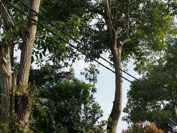 Mencatas Pokok - Prt Hj Adnan