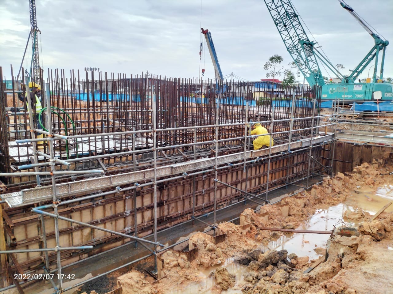 SCAFFOLD