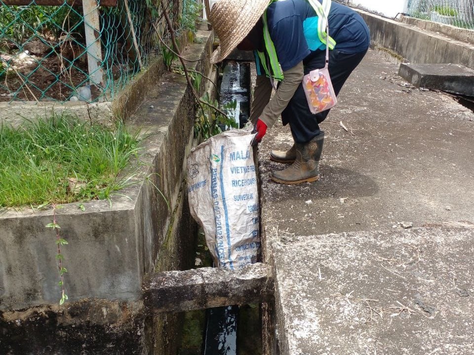 Drain Clearing