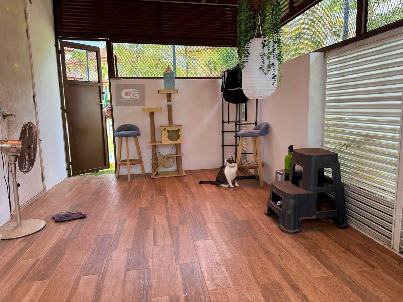 CAT'S HOUSE