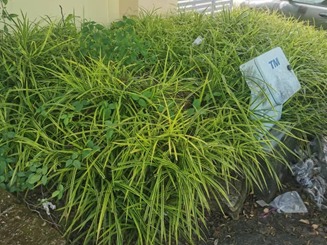 FACTORY RENOVATION & PROJECT MANAGEMENT