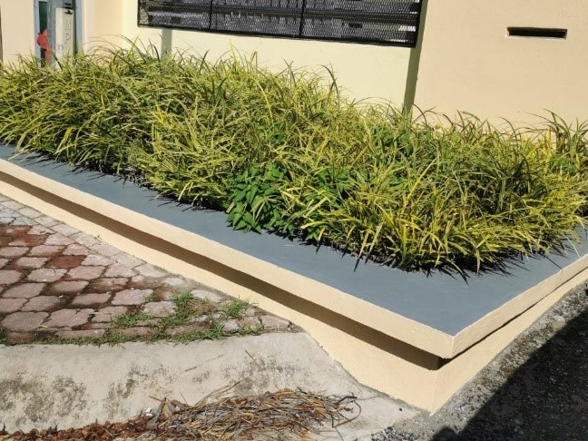 FACTORY RENOVATION & PROJECT MANAGEMENT