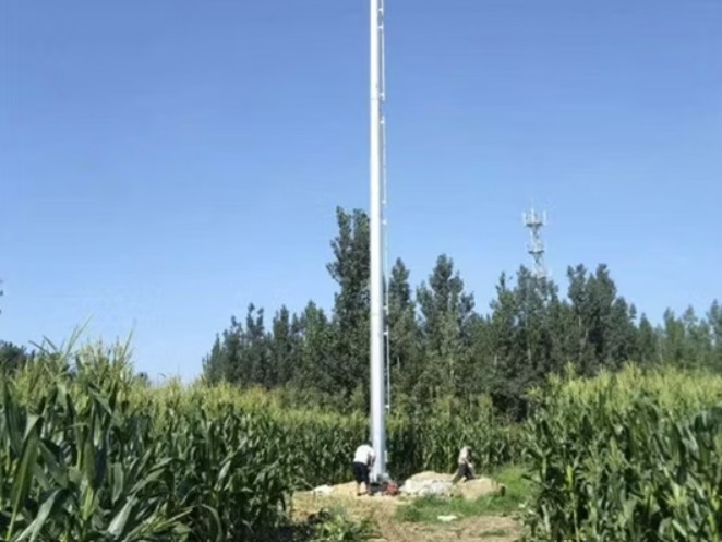 Kg