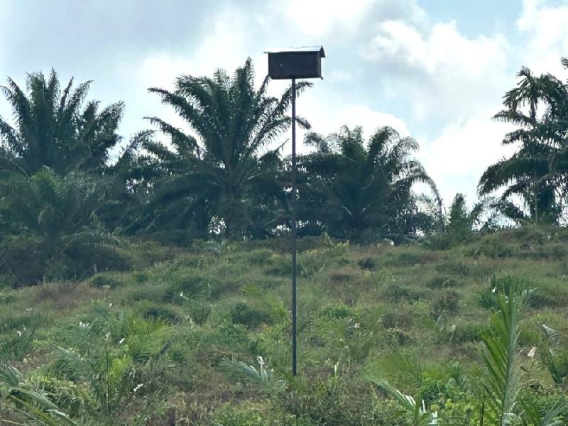 KERJA BEKALAN DAN PERKHIDMATAN