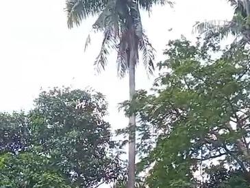 Kerja