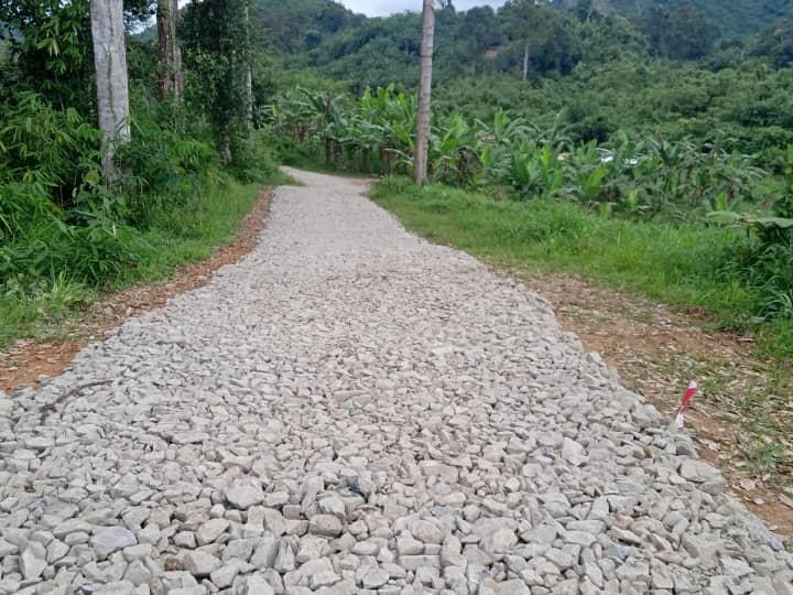 Land