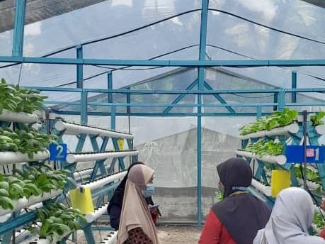 Solar Farming Project