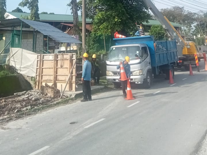 TREE MAINTENANCE SERVICES IN M.B.K.S. 