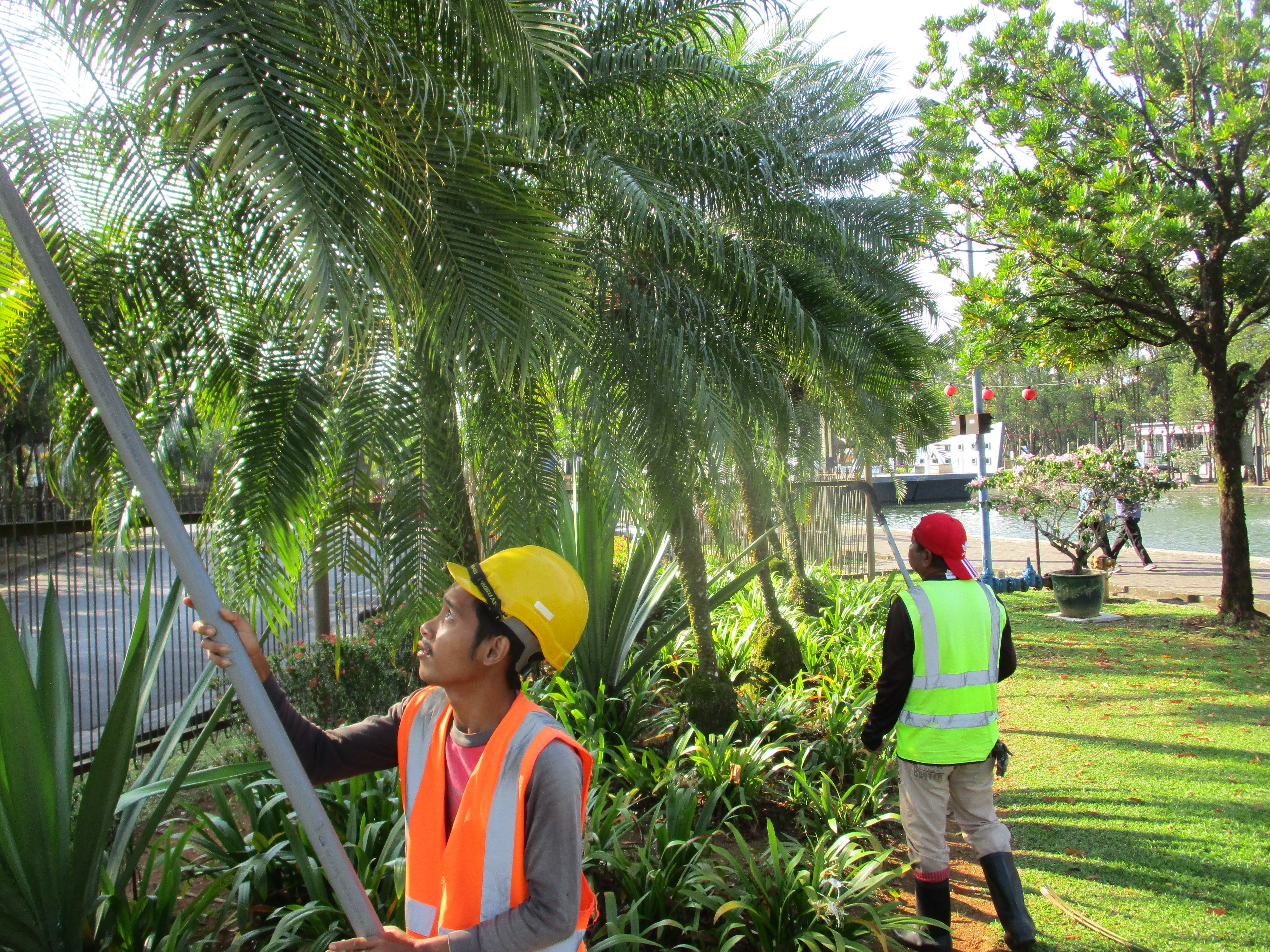 PARK MAINTENANCE (TAMAN SAHABAT) 