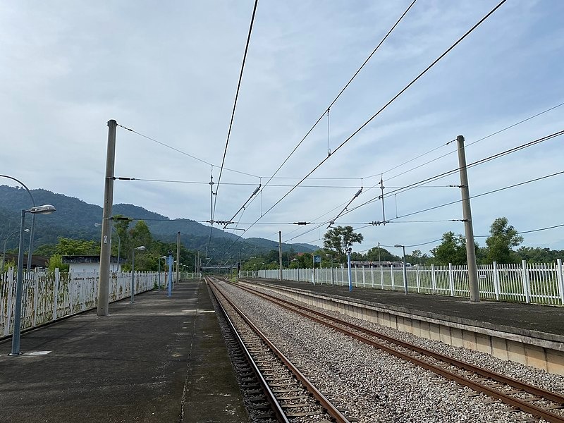 KERJA-KERJA MENEBANG POKOK