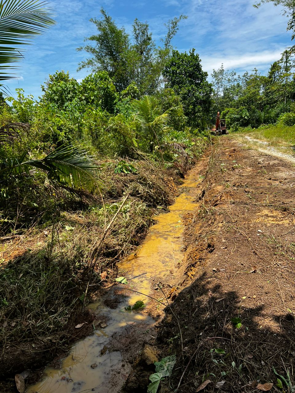 DRAINAGE