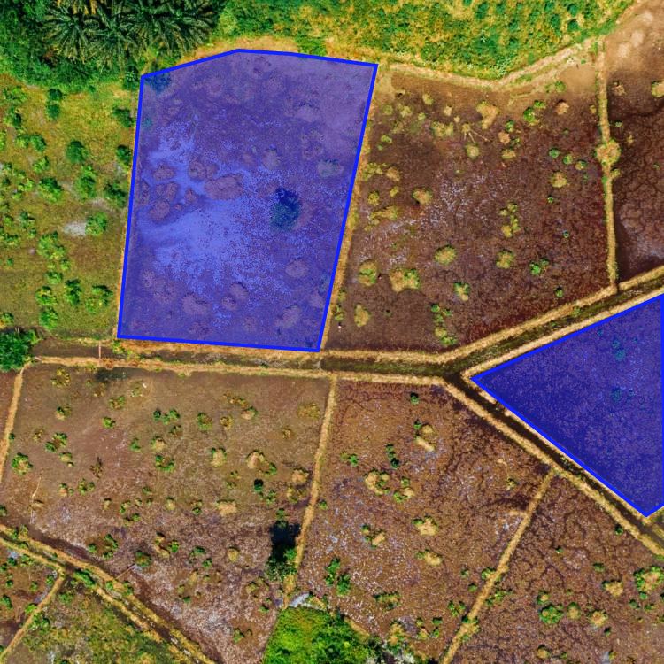 Land